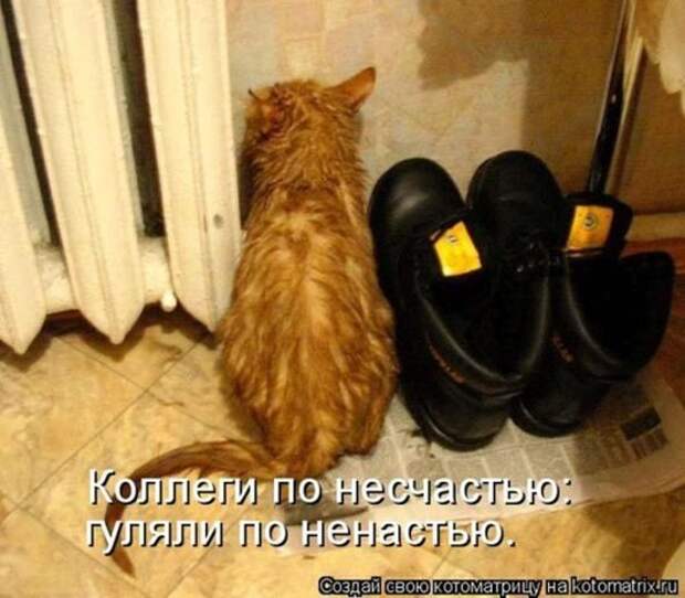 fe570a11eb7c52335d3ace4a8ea_prev