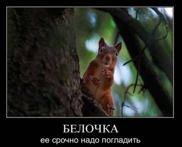 Самые смешные демотиваторы только у нас!