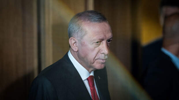 Эрдоган сообщил Си Цзиньпину об угрозе распространения конфликта на Украине