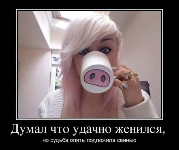 Демотиваторы демотиваторы, юмор