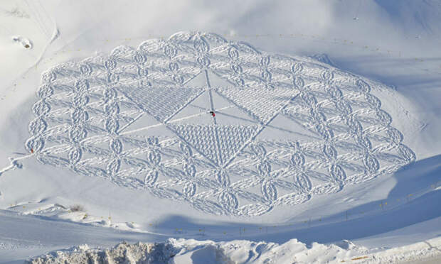 Кто оставляет волшебные узоры на снегу среди горных альпийских вершин