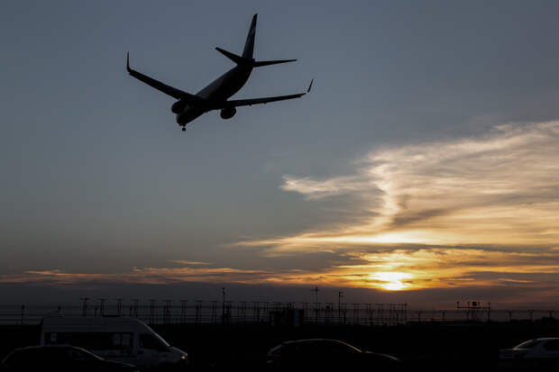 Названы самые эффективные способы помочь природе