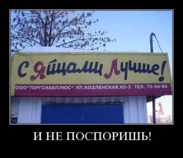 Демотиваторы новые, надписи и фото прикольные.