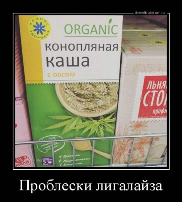 Демотиваторы-новинки (13 шт)