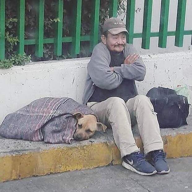 Главное, чтобы друг был в тепле !