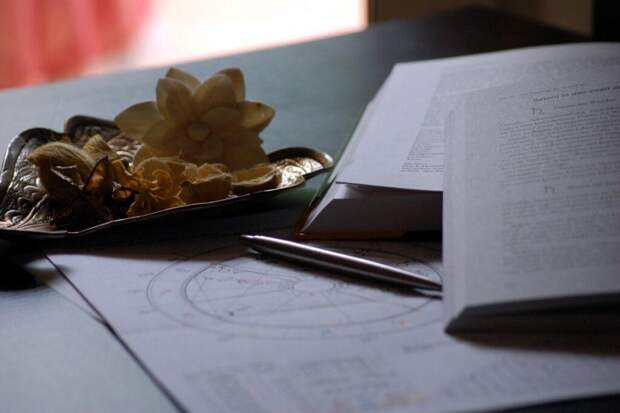 Деньги в кармане и бабочки в животе: почему Тельцам стоит ждать апреля