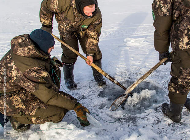 Борьба с браконьерами на Байкале байкал, борьба, браконьеры