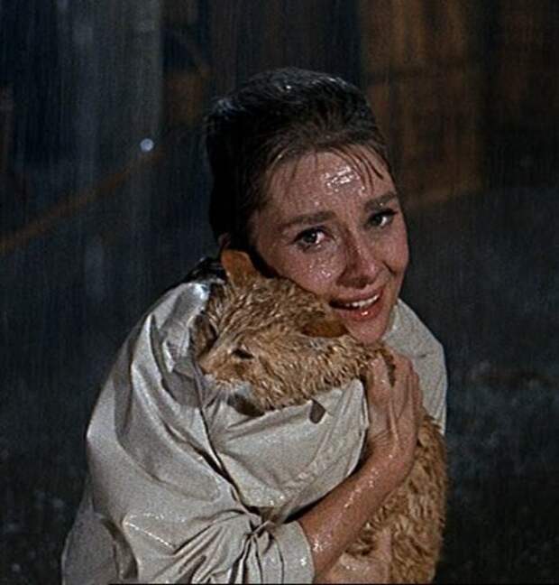 Одри Хепберн и Кот. Фото / Audrey Hepburn and Cat Rhubarb. Photo 