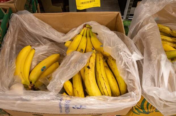 В России утвержден первый ГОСТ на бананы