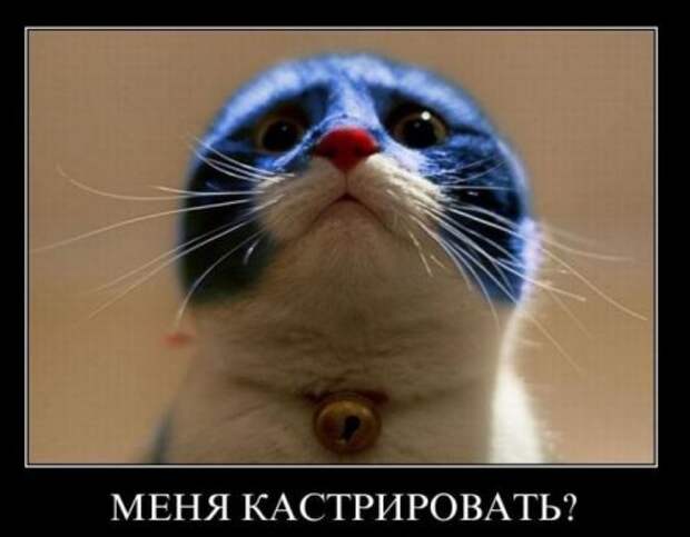 Самые смешные демотиваторы только у нас!