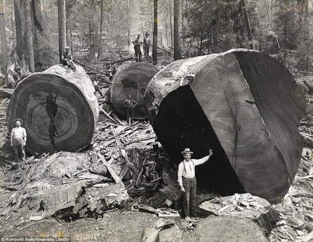 редкие исторические фотографии 