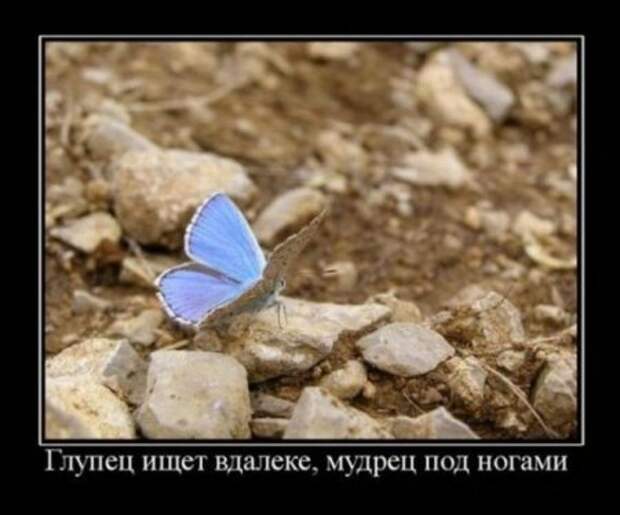 Демотиваторы со смыслом картинки.