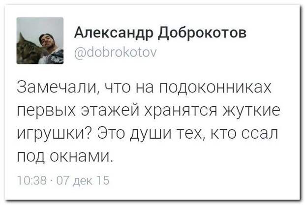 Прикольные тексты из социальных сетей