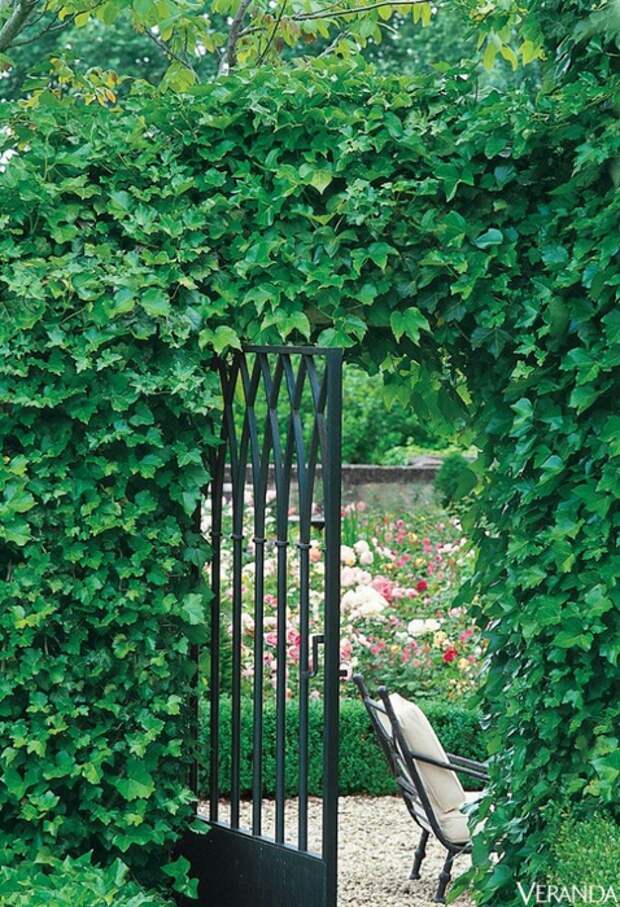 3577132_0_f6845_1957b77d_orig (478x700, 366Kb)