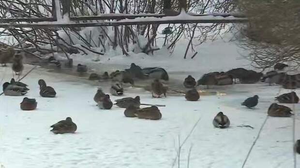 Настоящая героиня появилась в Вологде!
