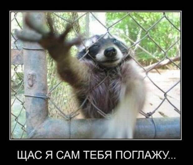 Новые демотиваторы на начало недели!
