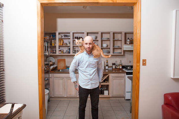 men and cats photography david williams 8 Одинокие мужчины и их котики