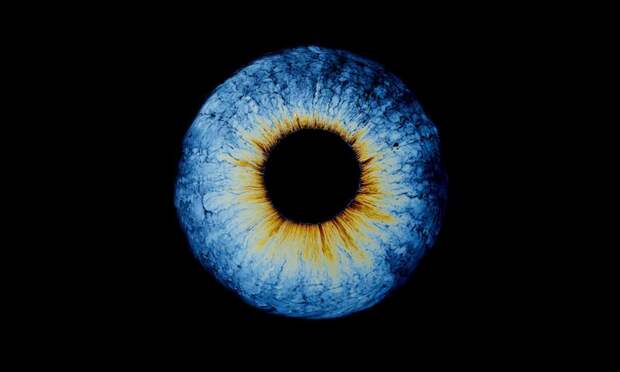 featured3_oil_spill_no_01