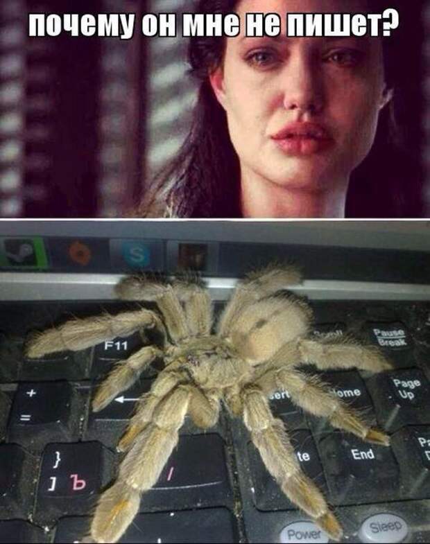 Прикольные картинки на Бугаге (49 шт)