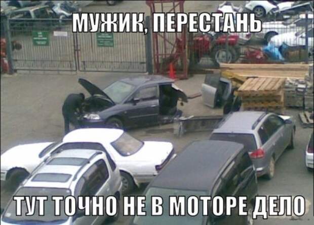 Классные прикольные картинки (60 шт)