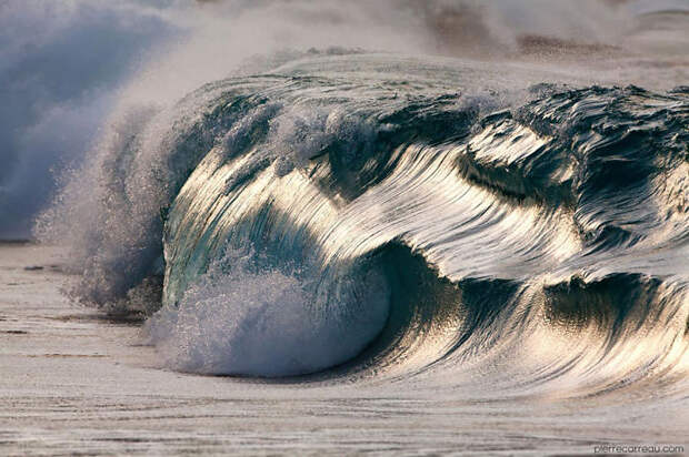 Wave