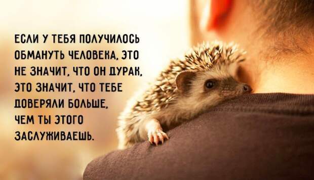 Совет дня советы, юмор