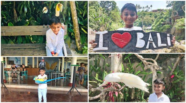 The Ultimate Guide To Bali With Kids