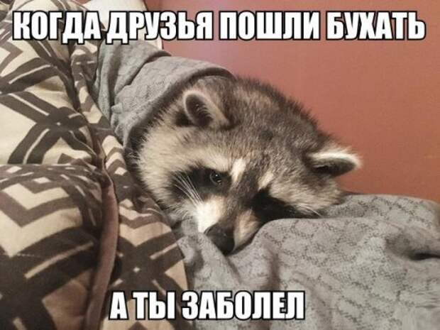 Прикольные фотомемы (36 шт)
