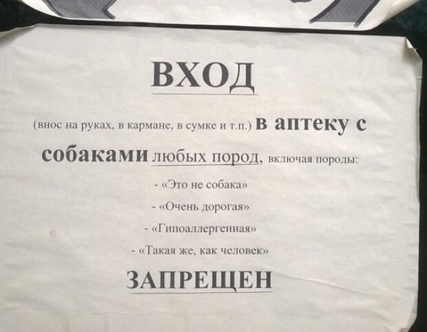 объявления, которые сделали наш день