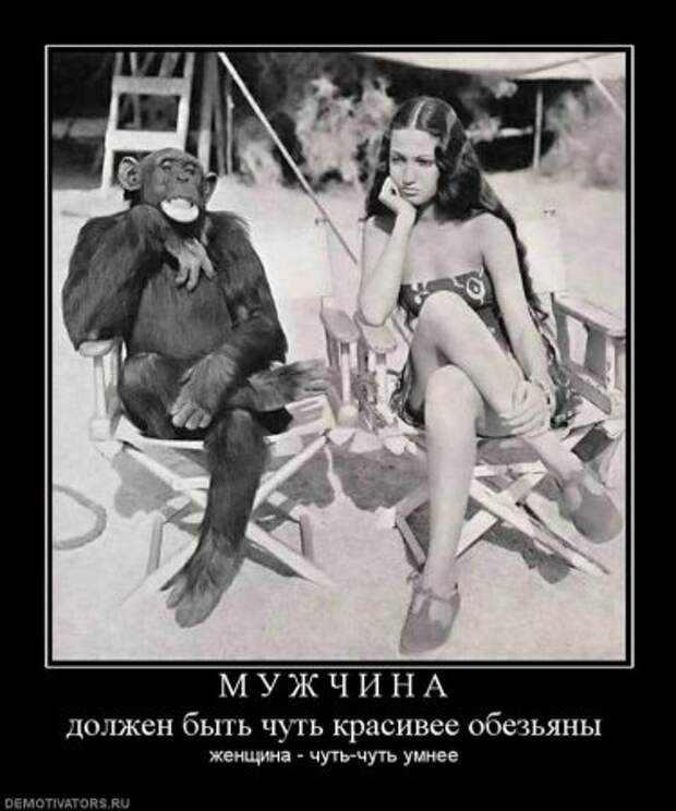 Веселые демотиваторы.