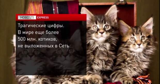 Прикольные картинки Прикольные картинки