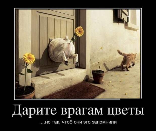 Демотиваторы (30 фото)