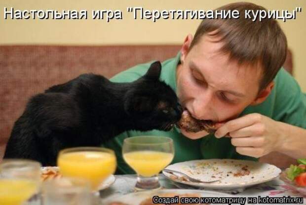 Котоматрица