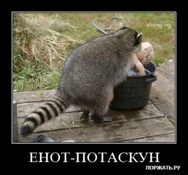 Масса демотиваторов.