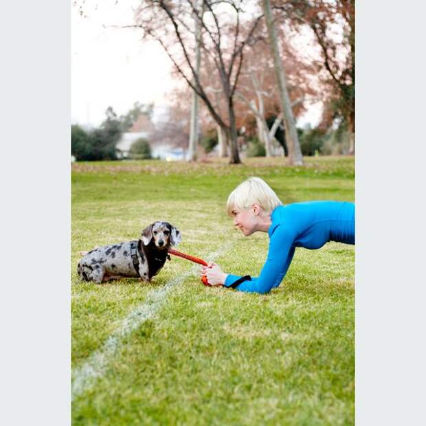 Your Dog