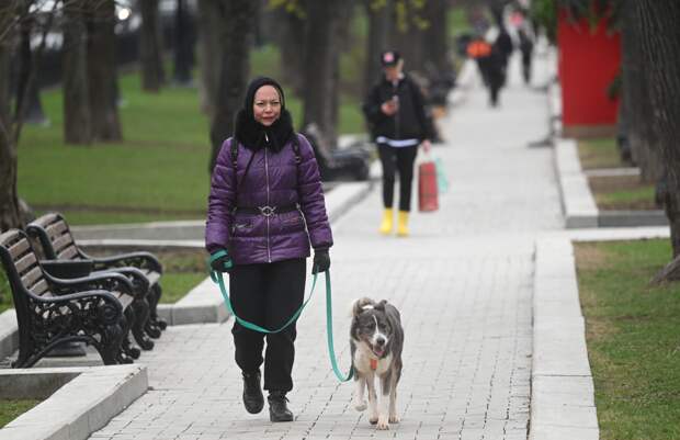 Москвичам предрекли холода до мая