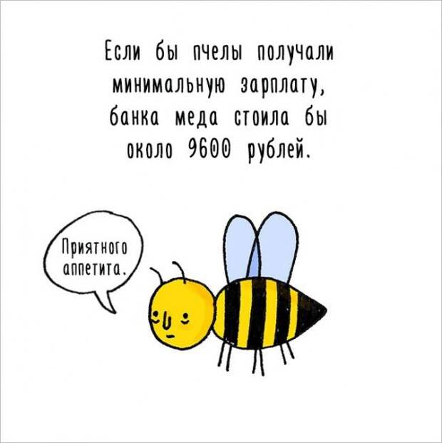 Интересные факты о животных в забавных рисунках (17 картинок)