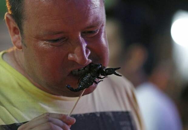 Как в Таиланде разводят съедобных насекомых (14)