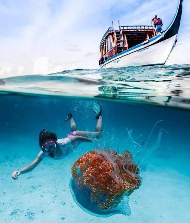 Прикольные картинки абавсём:D Прикольные картинки абавсём:D