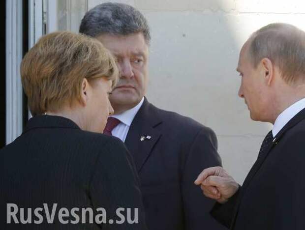 Владимир Путин и Ангела Меркель обсудили судьбу Украины | Русская весна