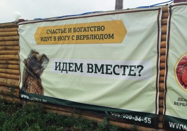 маразмы в жизни (6)