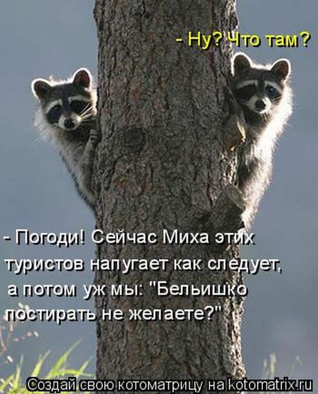 Мысли вслух :)