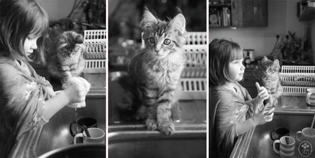 5-летняя девочка аутист и ее терапевтическая кошка Тула айрис грейс  (14)