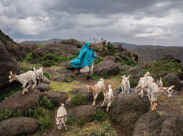 National Geographic: лучшие фотографии июня geographic, national, фотографии