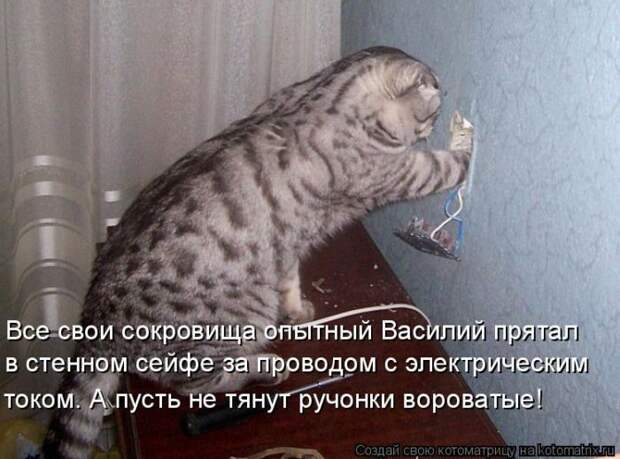 Лучшие котоматрицы недели