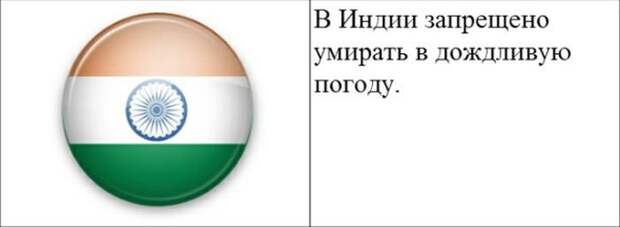 Закон всегда прав - даже если это маразм Закон всегда прав - даже если это маразм