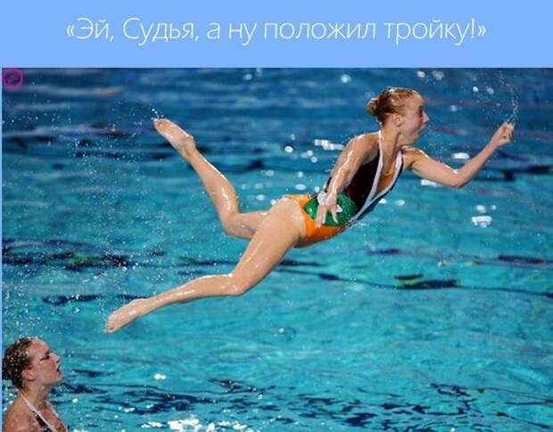 Эти забавные синхронистки  вода, синхронистки, спорт, юмор