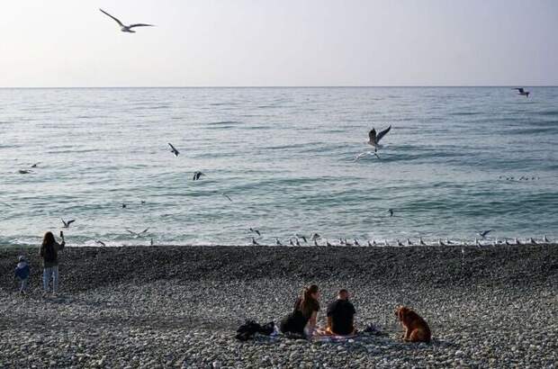 ТАСС: Самолет разведки США вновь совершил полет над Черным морем