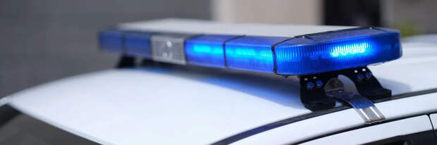 Килограммы наркотиков и сотни литров химии: в Ленобласти ликвидировали наркоцех