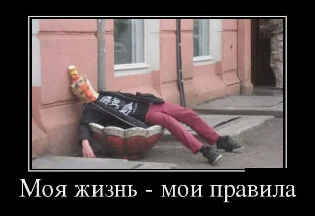 Демотиваторы
